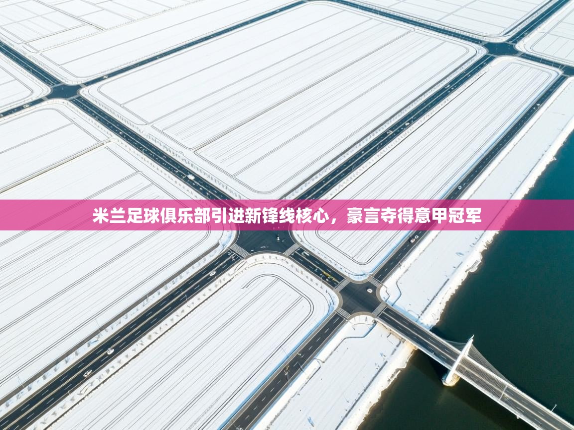 爱游戏体育官网-米兰足球俱乐部引进新锋线核心，豪言夺得意甲冠军  第3张