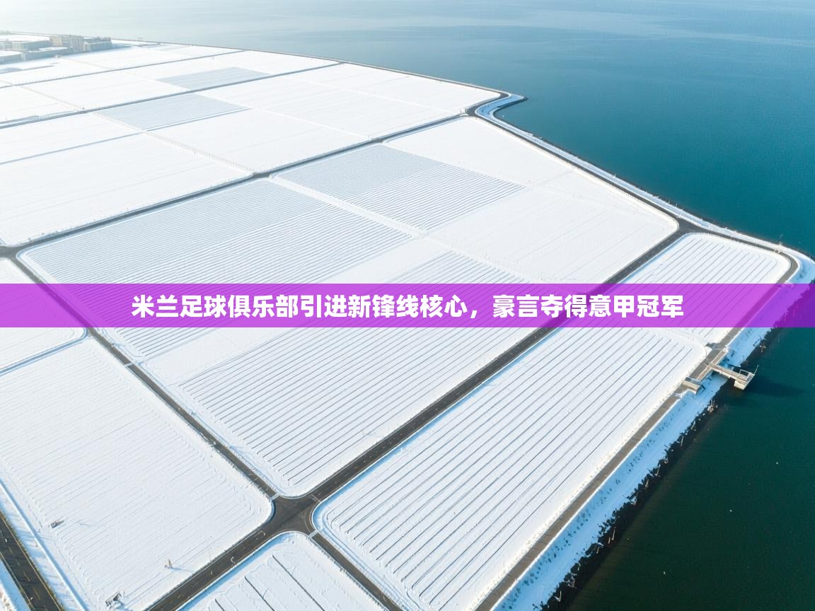 爱游戏体育官网-米兰足球俱乐部引进新锋线核心，豪言夺得意甲冠军  第4张