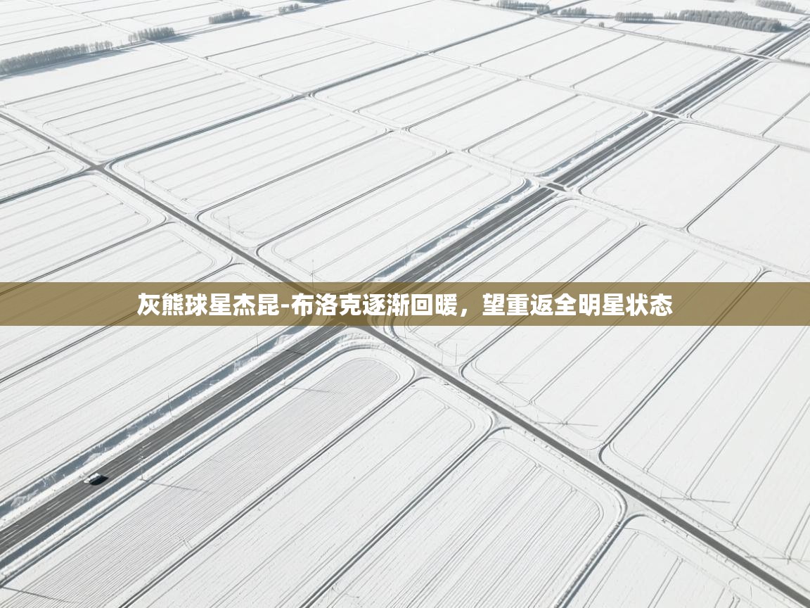 爱游戏娱乐网址-灰熊球星杰昆-布洛克逐渐回暖,望重返全明星状态  第1张