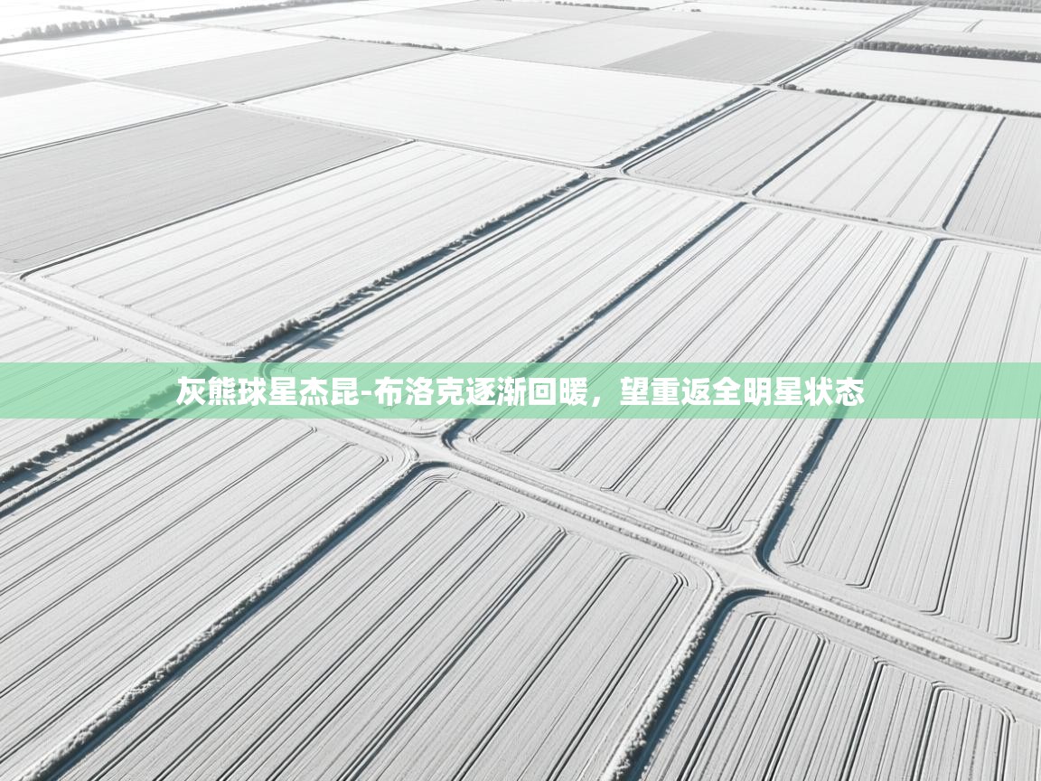 爱游戏娱乐网址-灰熊球星杰昆-布洛克逐渐回暖,望重返全明星状态  第4张