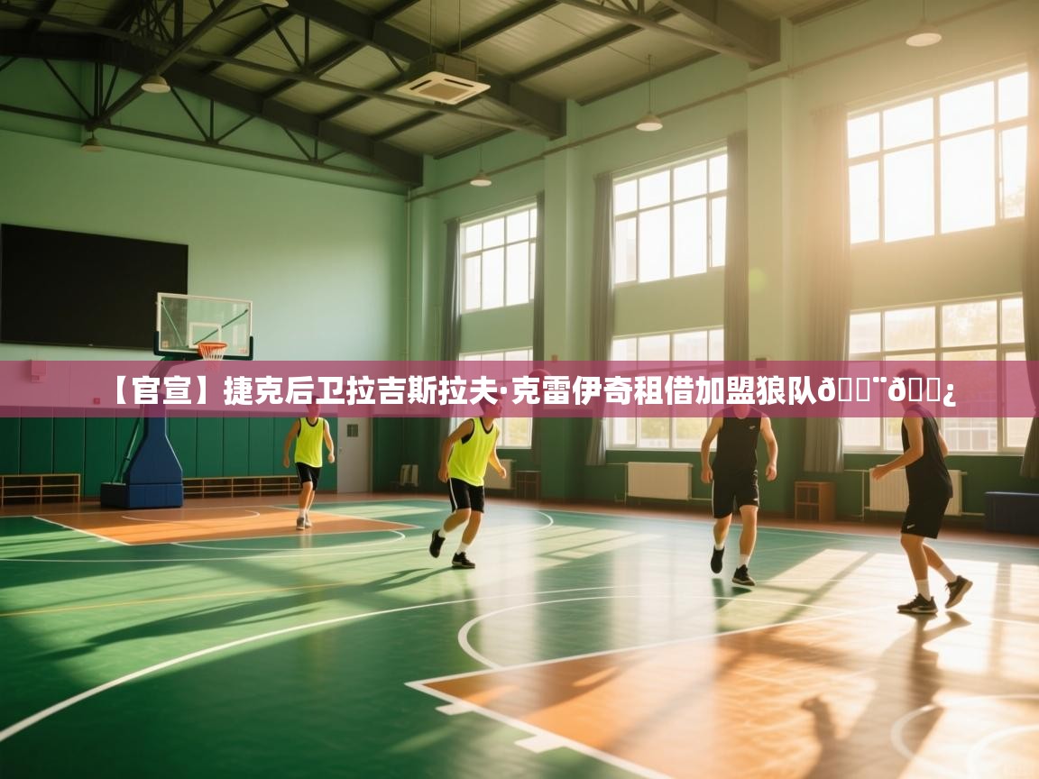 爱游戏 ayx 中国官方网站_ayx sports-【官宣】捷克后卫拉吉斯拉夫·克雷伊奇租借加盟狼队🇨🇿 第1张