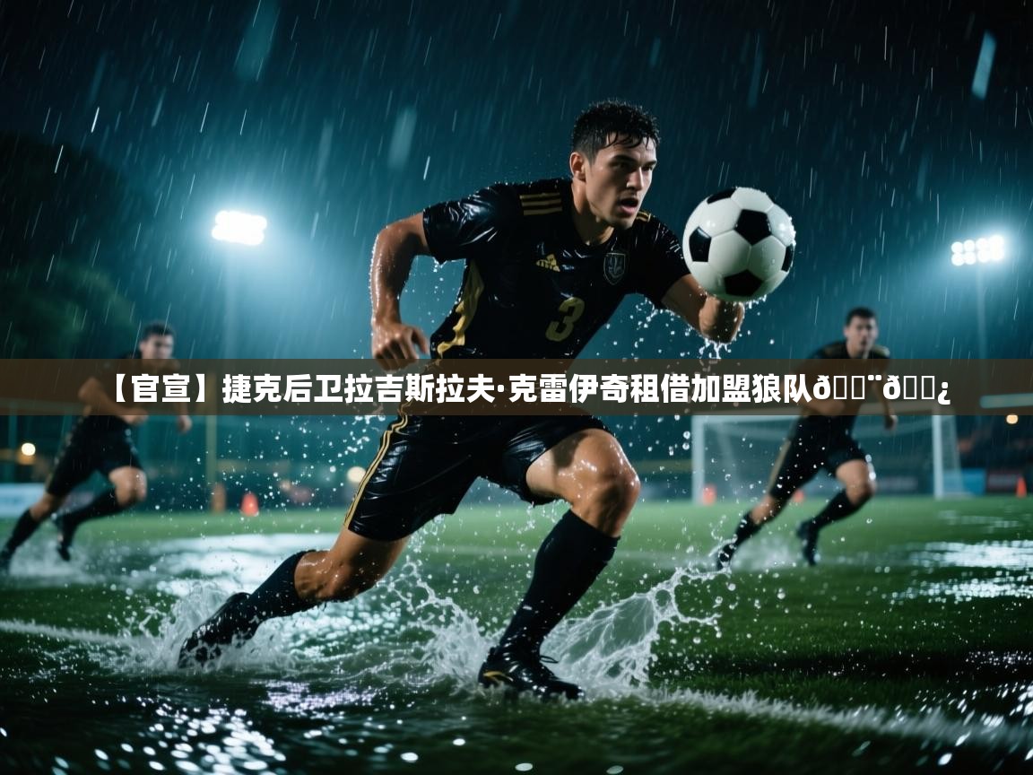 爱游戏 ayx 中国官方网站_ayx sports-【官宣】捷克后卫拉吉斯拉夫·克雷伊奇租借加盟狼队🇨🇿 第3张