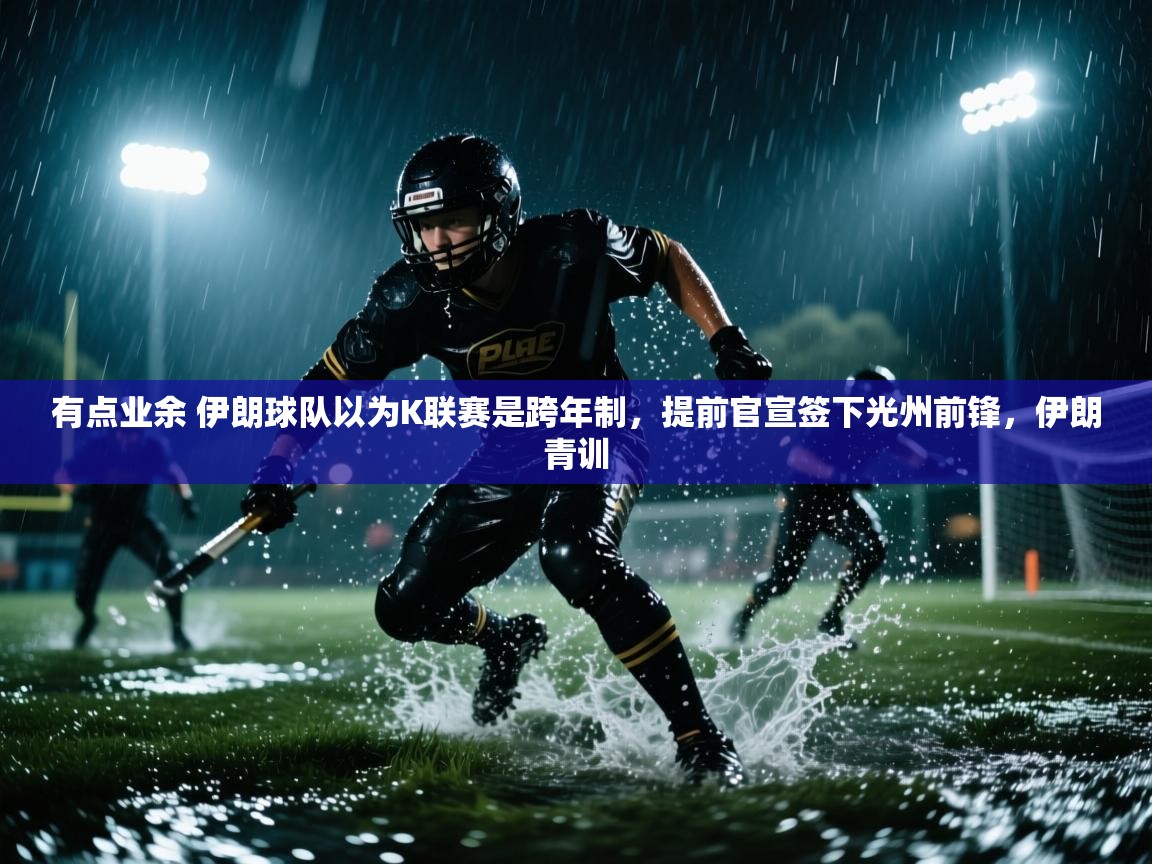 爱游戏体育下载-有点业余 伊朗球队以为K联赛是跨年制，提前官宣签下光州前锋，伊朗青训  第2张