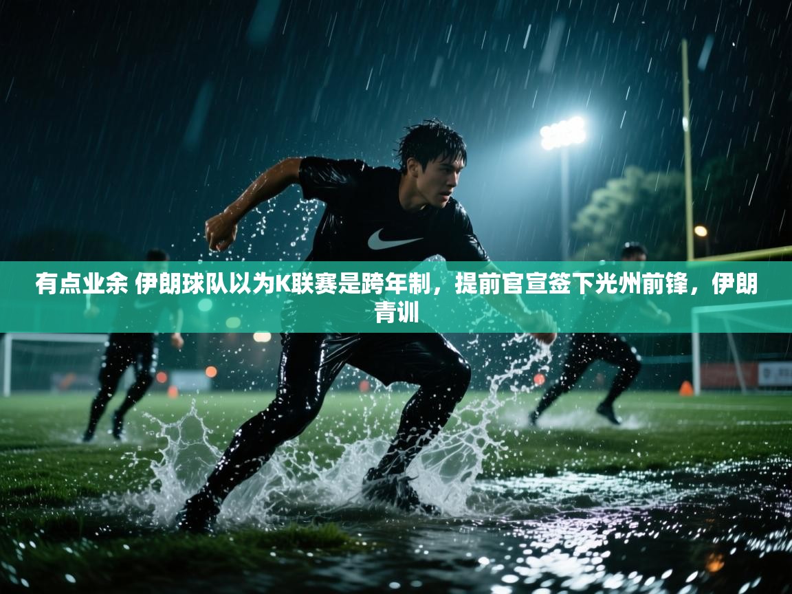 爱游戏体育下载-有点业余 伊朗球队以为K联赛是跨年制，提前官宣签下光州前锋，伊朗青训  第4张