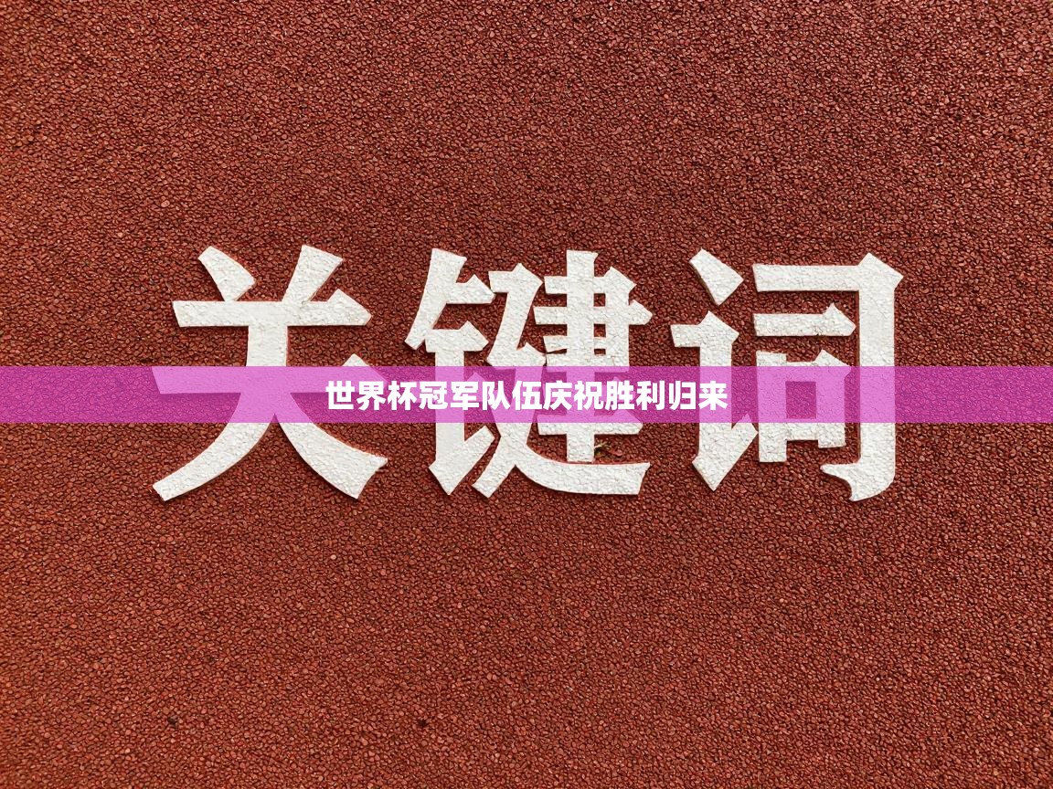 爱游戏体育官网-世界杯冠军队伍庆祝胜利归来  第2张