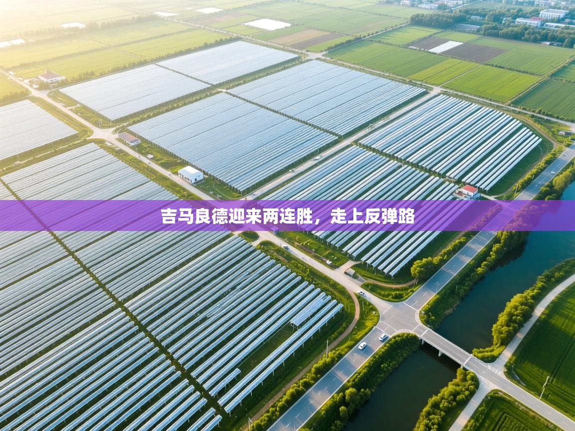 爱游戏体育在线app-吉马良德迎来两连胜,走上反弹路 第2张