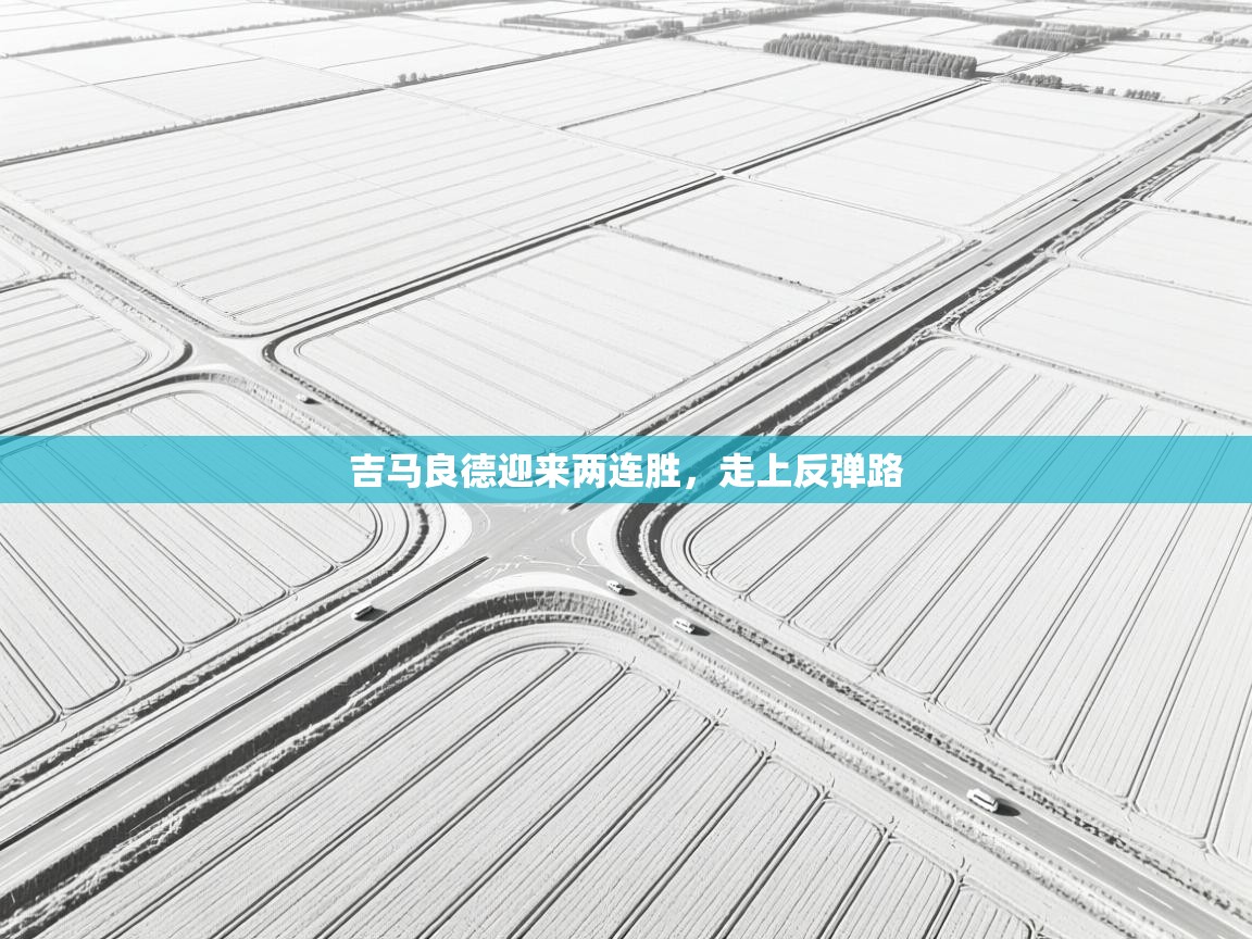 爱游戏体育在线app-吉马良德迎来两连胜,走上反弹路 第3张