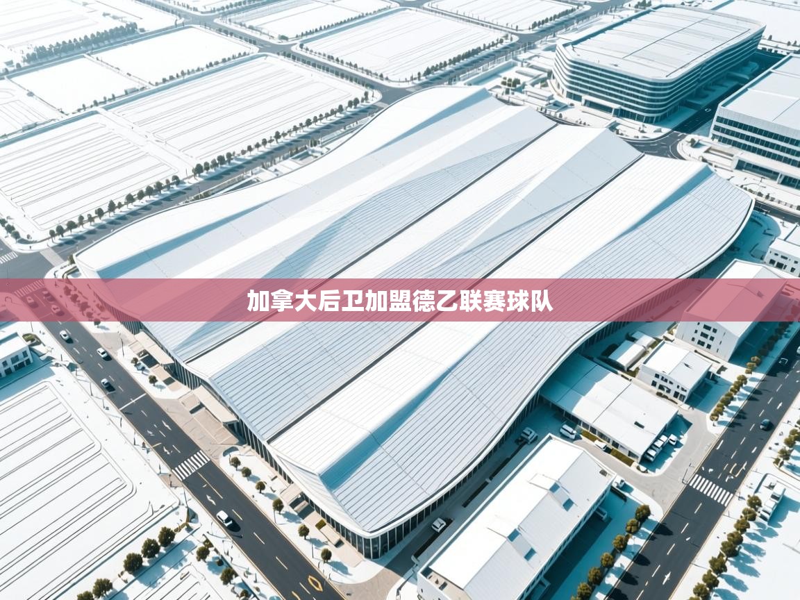 爱游戏娱乐app下载-加拿大后卫加盟德乙联赛球队  第1张