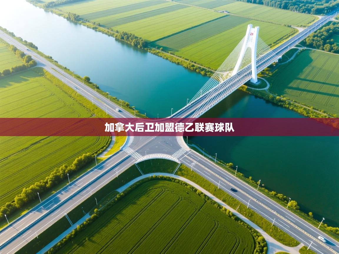 爱游戏娱乐app下载-加拿大后卫加盟德乙联赛球队  第2张