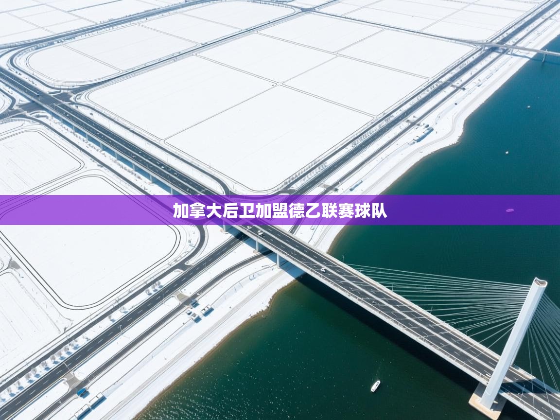 爱游戏娱乐app下载-加拿大后卫加盟德乙联赛球队  第4张