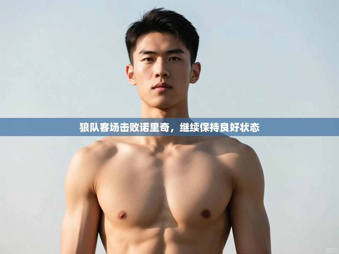 爱游戏体育直播-狼队客场击败诺里奇，继续保持良好状态  第4张