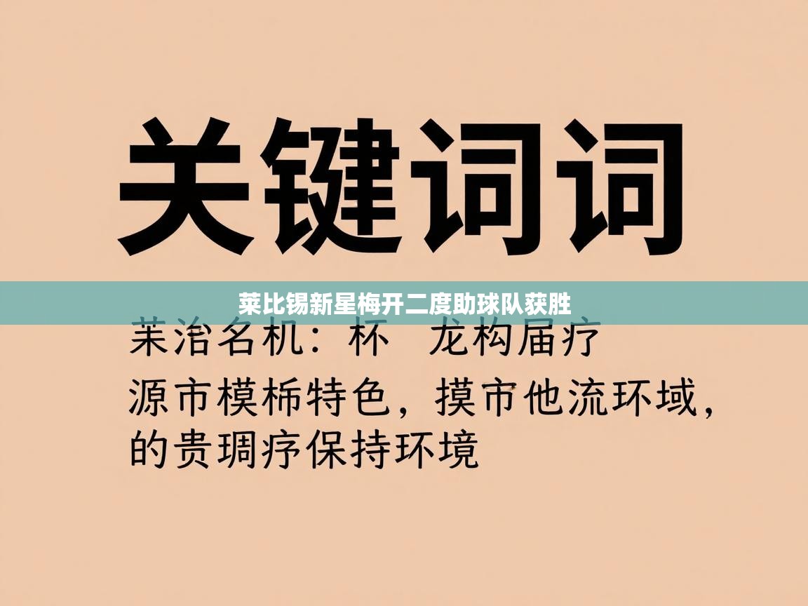 爱游戏体育官网-莱比锡新星梅开二度助球队获胜  第3张