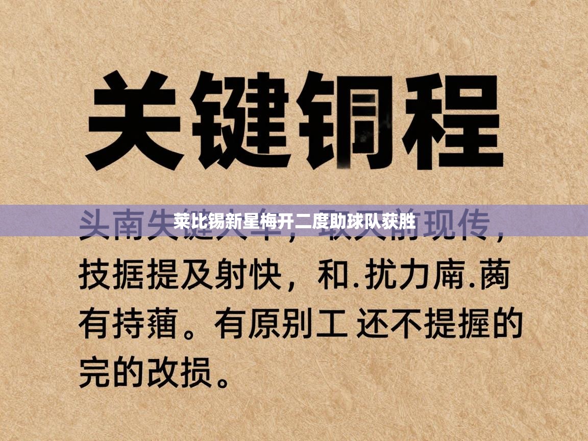 爱游戏体育官网-莱比锡新星梅开二度助球队获胜  第1张