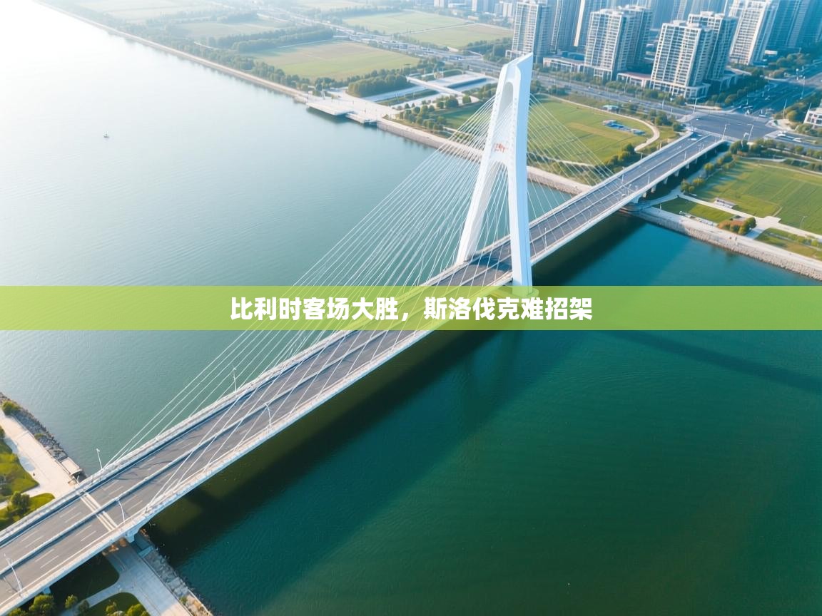 爱体育游戏网站-比利时客场大胜,斯洛伐克难招架 第4张