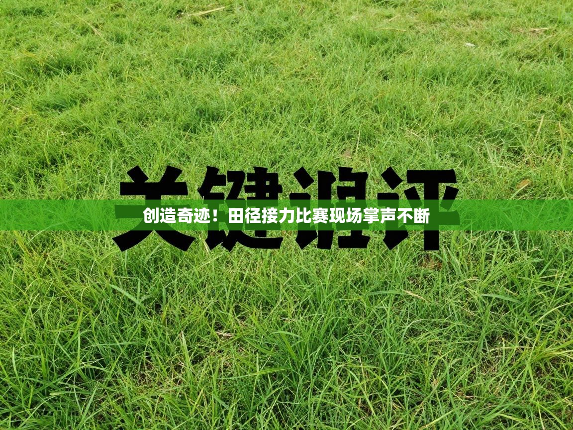 爱游戏体育赛事-创造奇迹!田径接力比赛现场掌声不断 第1张