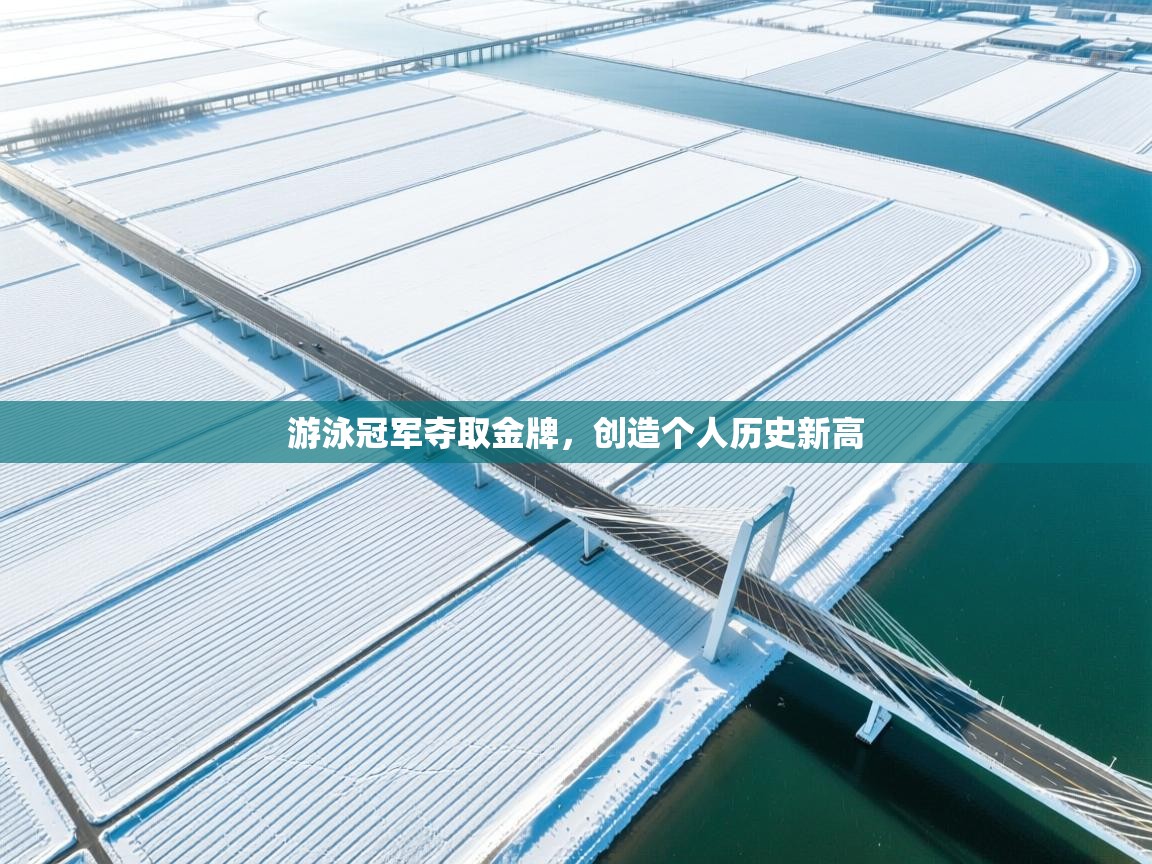 爱游戏直播-游泳冠军夺取金牌，创造个人历史新高  第2张