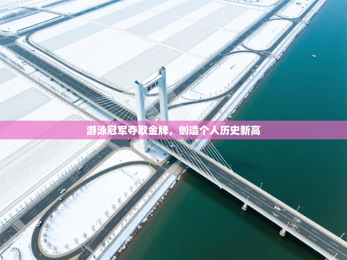 爱游戏直播-游泳冠军夺取金牌，创造个人历史新高  第4张